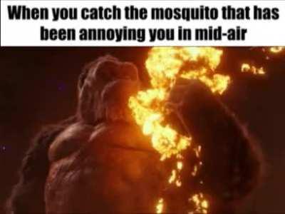 Those damn mosquitos