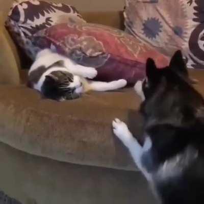 I'm gonna smother you till you can't stand it