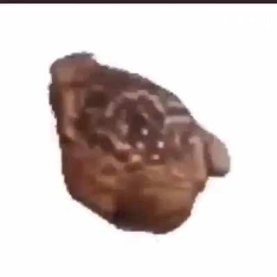 I'm 15 and this is yeet