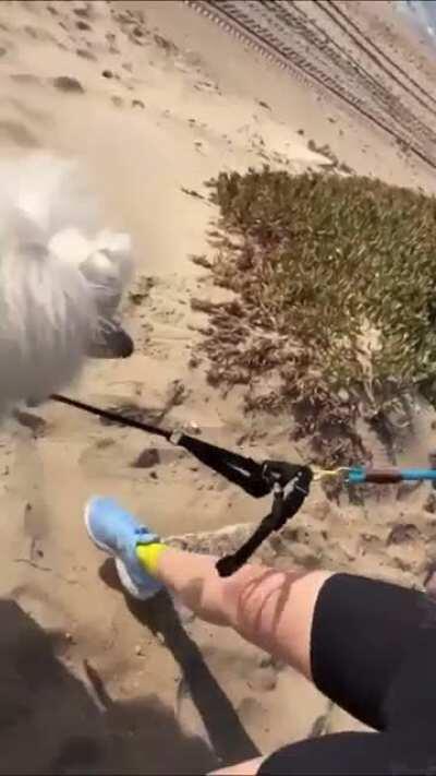 Those tight little shorts and the sports bra