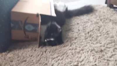 I think this belongs here