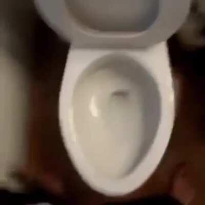 M-am vaccinat cu AstraZeneca. AMA!