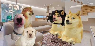 Le Miranda has arrived