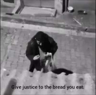 Least drunk and based turk ( arguing with a street dog)