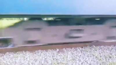 Real life NPC Stupidity pro Max Such reel creators must be jailed. These jokers are risking their lives and influencing others to do the same.