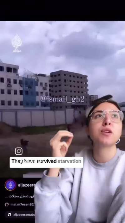 5 Palestinians died after US aid boxes fall on their heads