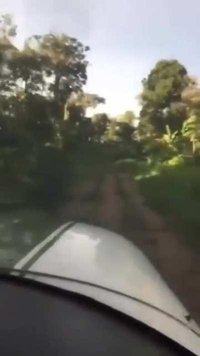 Aleatório: amigos do Escobar 1