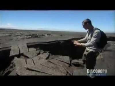 My life is a lie and everyone should know