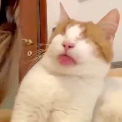 I just can't handle this.. Cuteness overload..