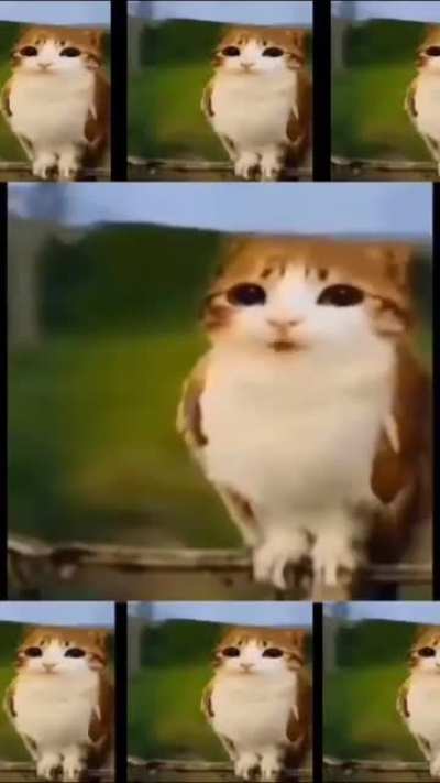 adjnaowrngoauergfouhwe40fhaow4ihfwouofrzfv