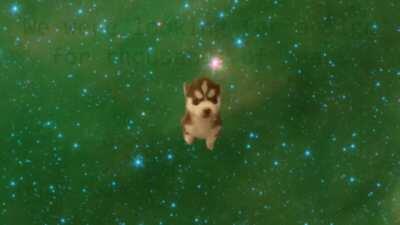 WTF Thats not funny number😫😲