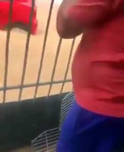 O José dirigindo na live