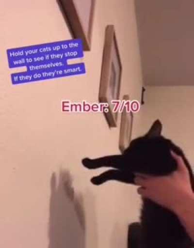 We’re all Penelope