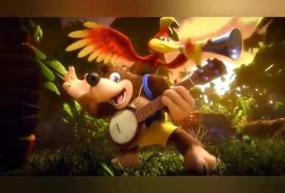 what a wild ride! (This is my first 