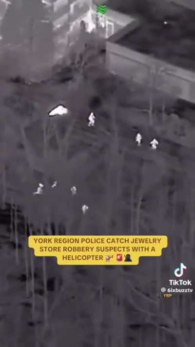 Toronto Police Chase Down Teens In Jewlery Store Thefts