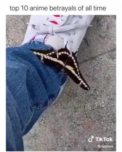 Lets go Mr. Butterfly