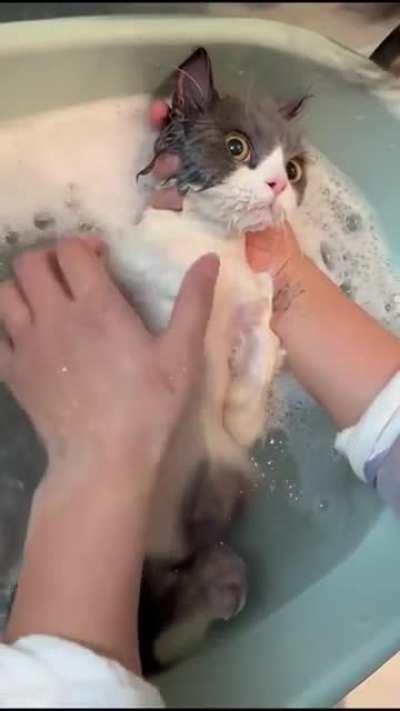 Just quietly taking a bath