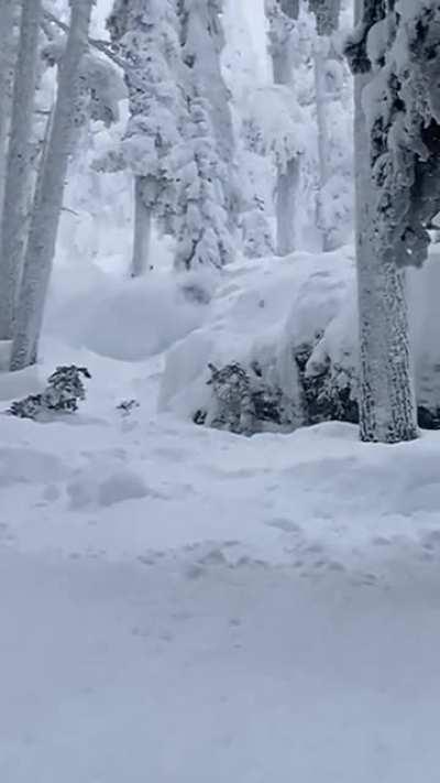 Cold temps and big dumps call for cliff drops
