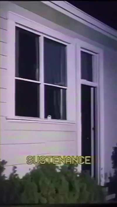 Instant S their cryptid