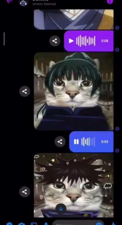 Meow meow meow? Meow, meow meow meow