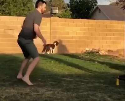 To catch the ball