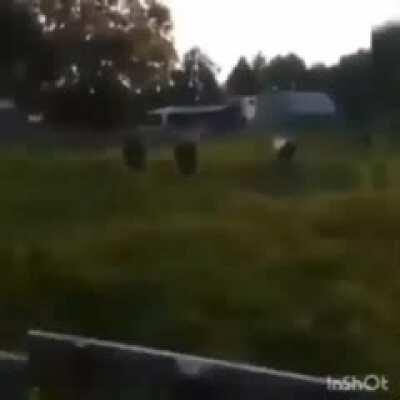 Desculpa se for repost