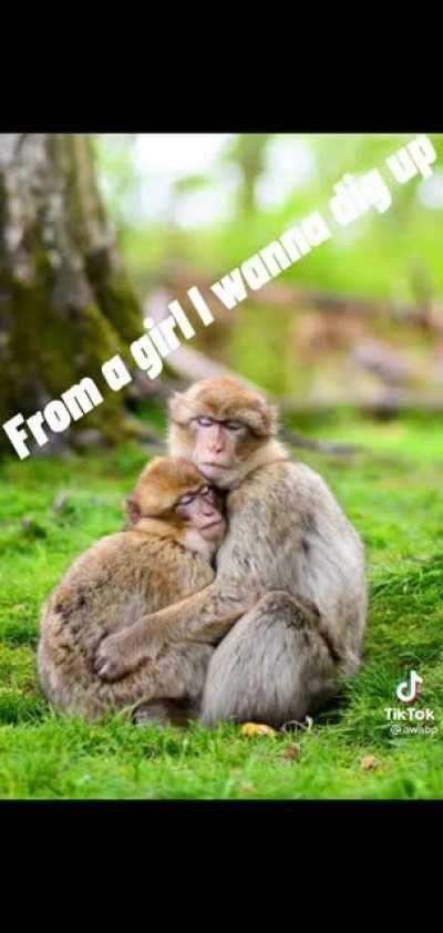 Monke had a good day