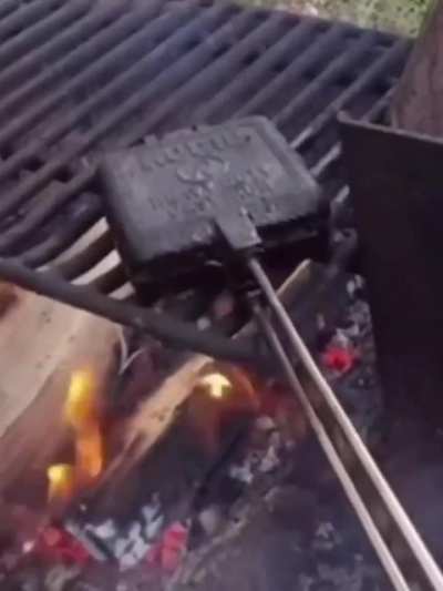 Nooo. Nooo. He did the cat. Whyyyy