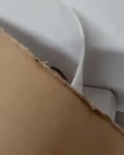 Time to send in the dangernoodle