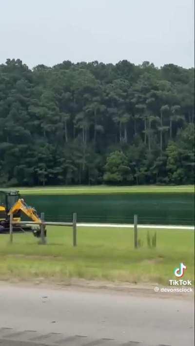 Welcome to Jurassic Backhoe