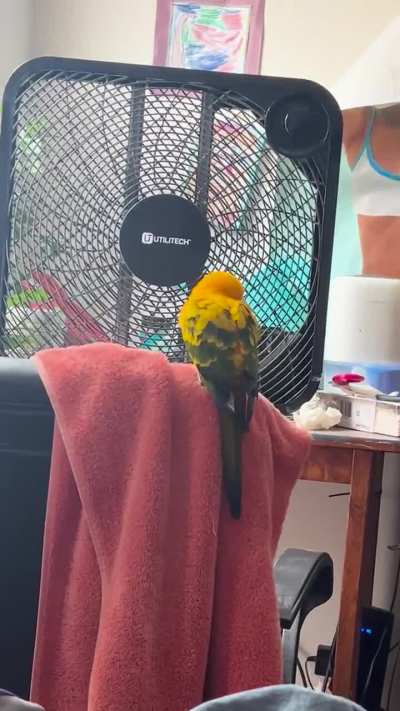 Wondering what her sounds mean?