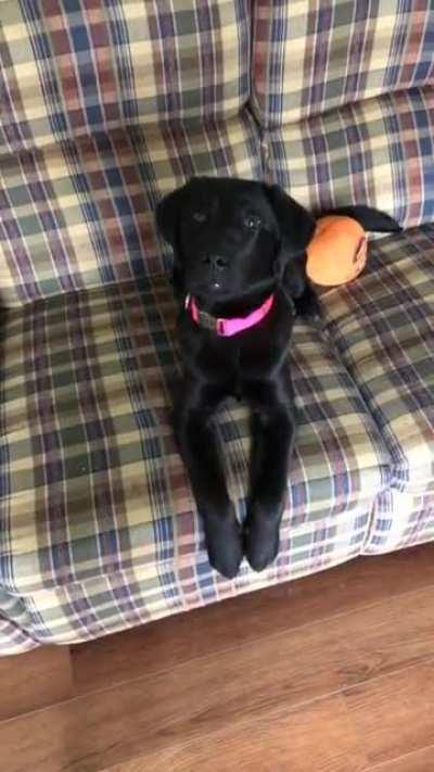 She prefers whispers