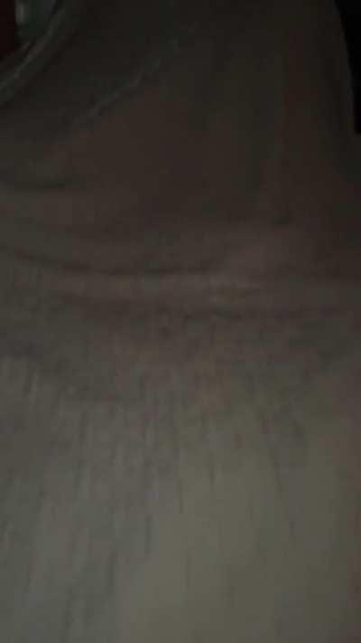 That’s a cat under there