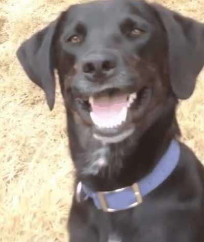 MRW it's April 16 and it's been snowing all morning