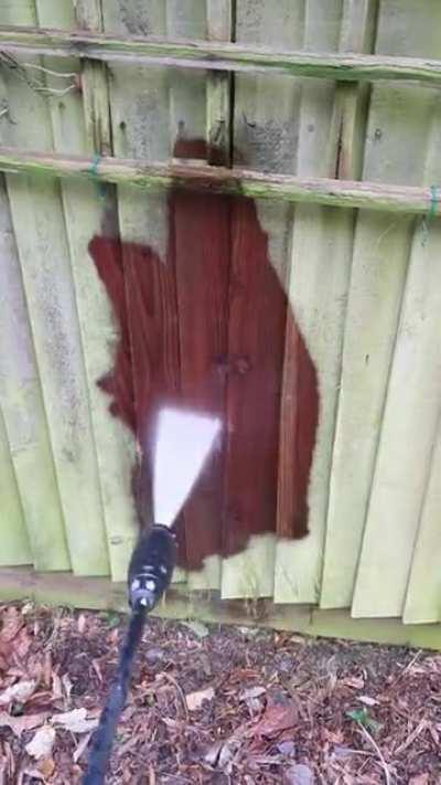 Always thought this fence was green...