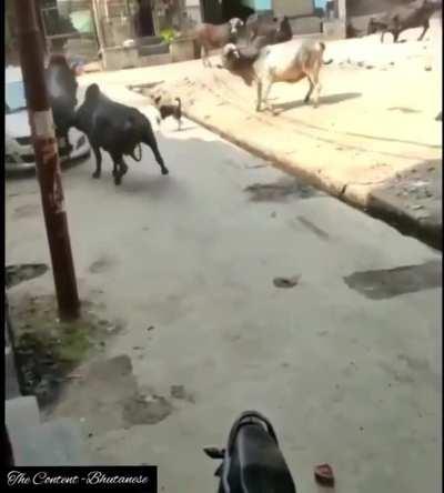 Imagine explaining that to the insurance company if it hadn't been recorded.