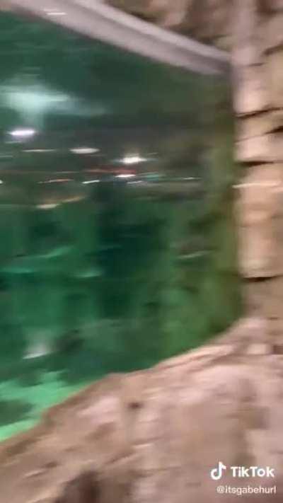 Literally everything in this video is wrong