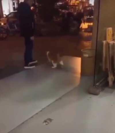 Don’t disturb my moonwalk hooman!