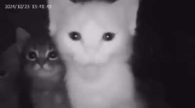 erhjaaaaaa glvncxsss