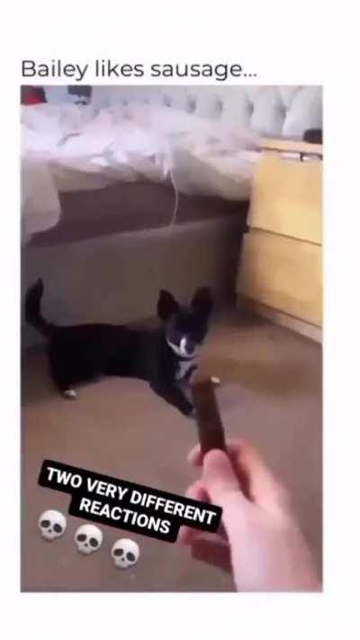 Brian and Nola fighting for vanoss