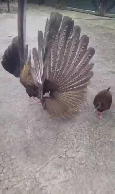 Пож на моего начальника в понедельник..