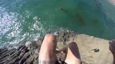 Let me jump off this cliff for an adrenaline rush