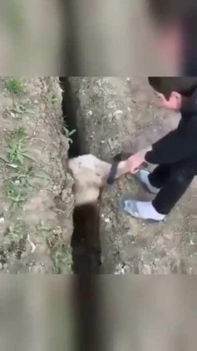 Support main trying to keep their inting ADC alive