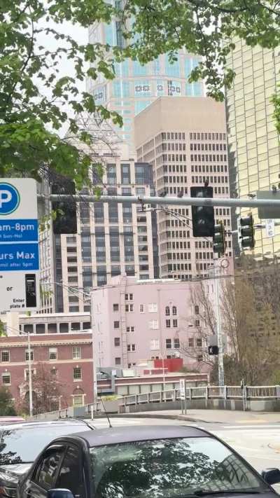 Pigeons wait on top of stoplights….