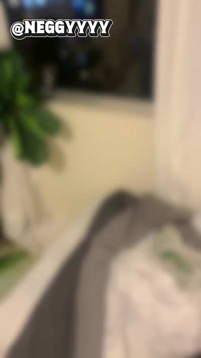 Fuck with this tatted petite. I hope someone's watching our window. 🤙🏽 How's the view? Video is with consent and permission to post granted. (No minors involved)