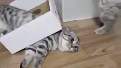 All around me are familiar faces, worn out places, worn out faces...