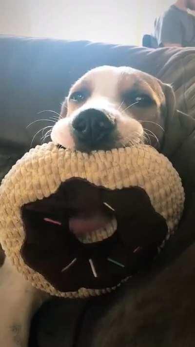 Some people have been very fond of donuts for a long time