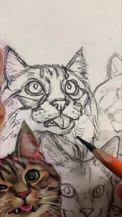 cats I added to The Sillies this year so far! :3