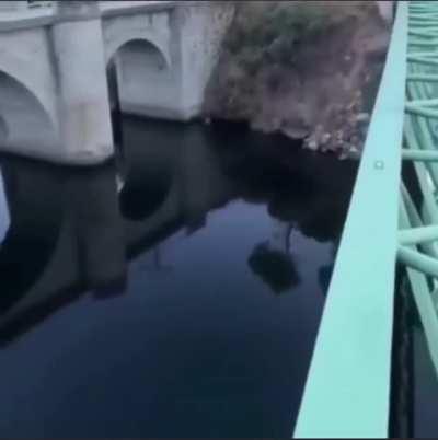 What a jump, what a landing