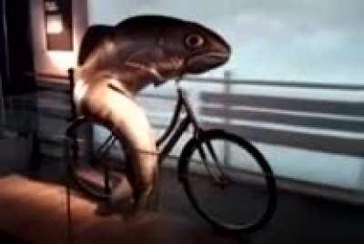 Less than 24 hours until r/pan opens for broadcasting!